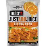 Weber Just Add Water Citrus Herb Marinade, 1.12 Ounce