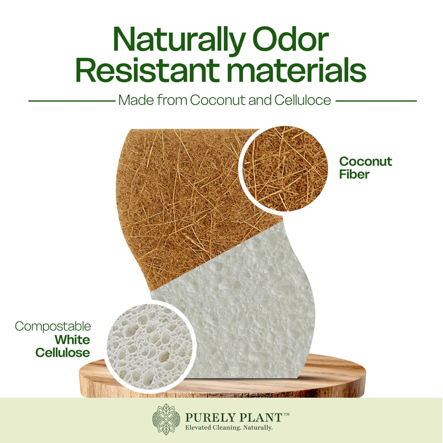 Purely Plant Natural Kitchen Sponges (12 Pack) - Biodegradable Cellulose & Coconut fiber Scrubber Dish Sponges, Eco-Friendly, Compostable