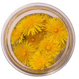 Jovvily Dandelion Leaves - 8 oz - Cut & Sifted - Herbal Tea - Cuisine Garnish