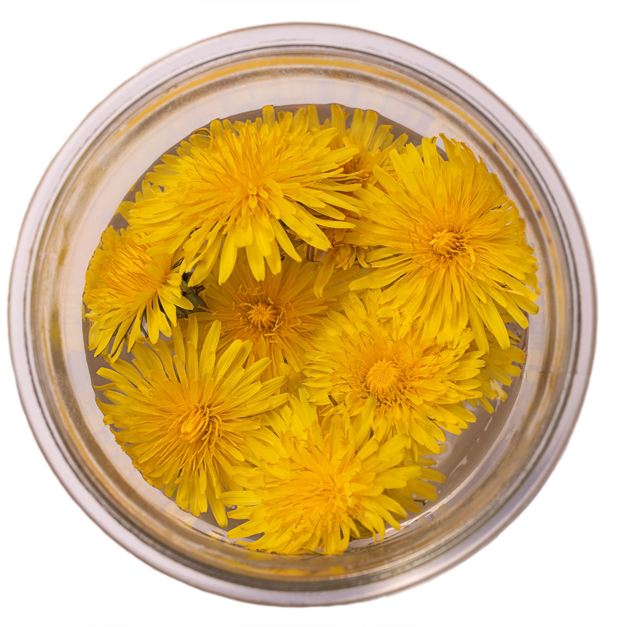 Jovvily Dandelion Leaves - 8 oz - Cut & Sifted - Herbal Tea - Cuisine Garnish