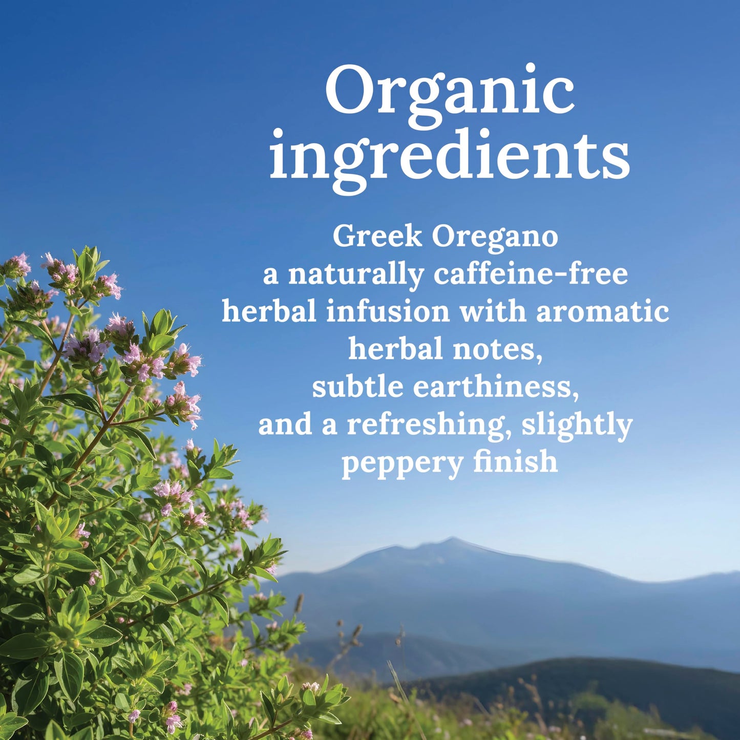 My Land Organic Greek Oregano - Cut & Sifted Whole-Leaf, 1.76 oz (50 g) | Single-Origin from Mount Olympus, Greece | For Mediterranean Cooking