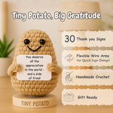 Thank You Gift - Tiny Potato with 30 Appreciation Signs - Funny Gratitude Gift for Women Men Coworker Doctor Nurse Teacher Boss Manager - Employees