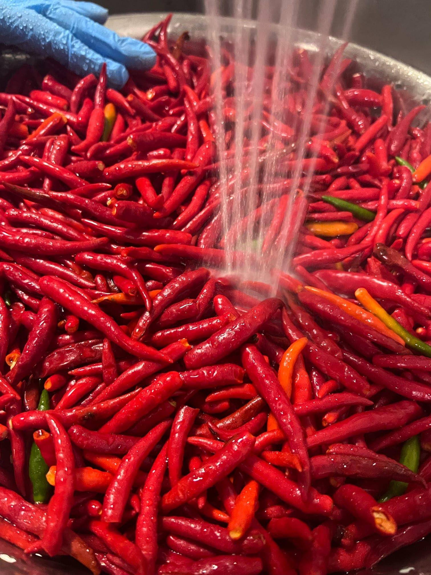 BamuBamu Signature Sauce Habanero - Thai Chili - Sesame