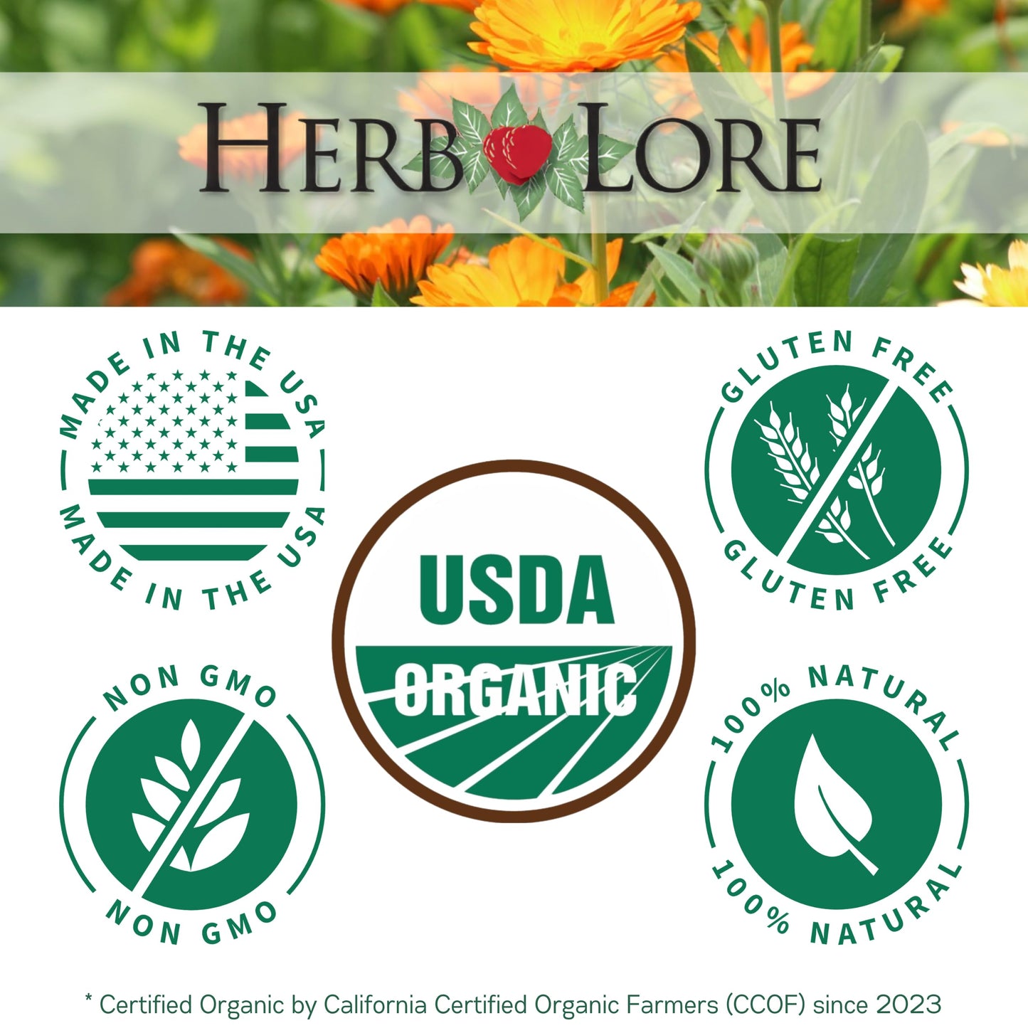 Herb Lore Organic Fenugreek Tincture - Alcohol Free Liquid Drops - Lactation Supplement for Breastfeeding Moms - 4 fl oz