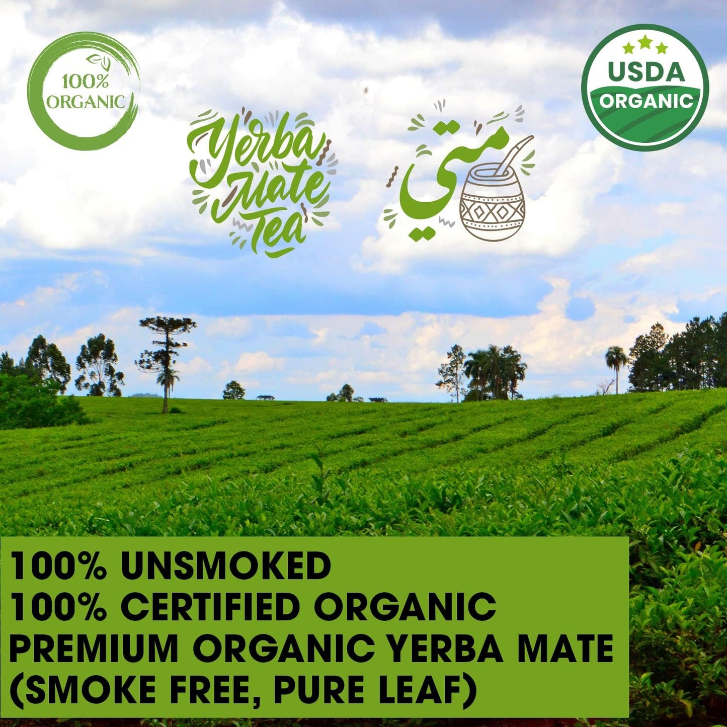 Organic Yerba Mate Loose Leaf Tea - Unsmoked Traditional South American Mate - Natural Energy & Focus - USDA Certified - Premium Aged Leaves - 14 oz.