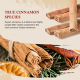 52USA Ceylon Cinnamon Sticks, Organic Cinnamon Sticks, 1 Ounce (Pack of 7), Real Cinnamon farmed in Sri Lanka, Non-GMO, Cinnamon for Coffee, Baking