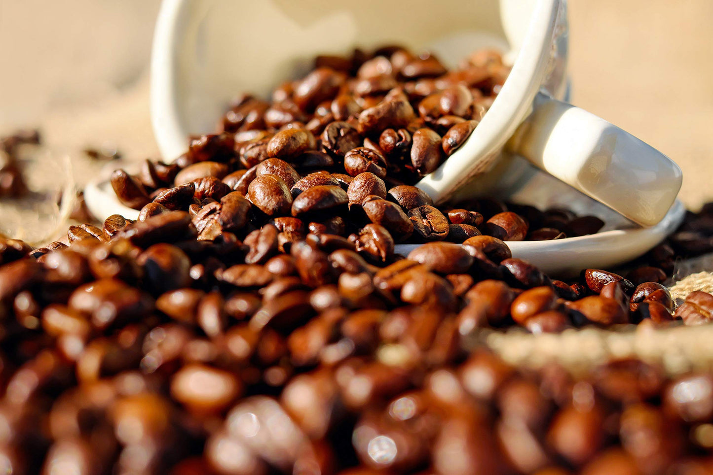 Organic Decaf, 12 oz. Fresh Whole Bean Coffee, Dark Roast, 1 Bag
