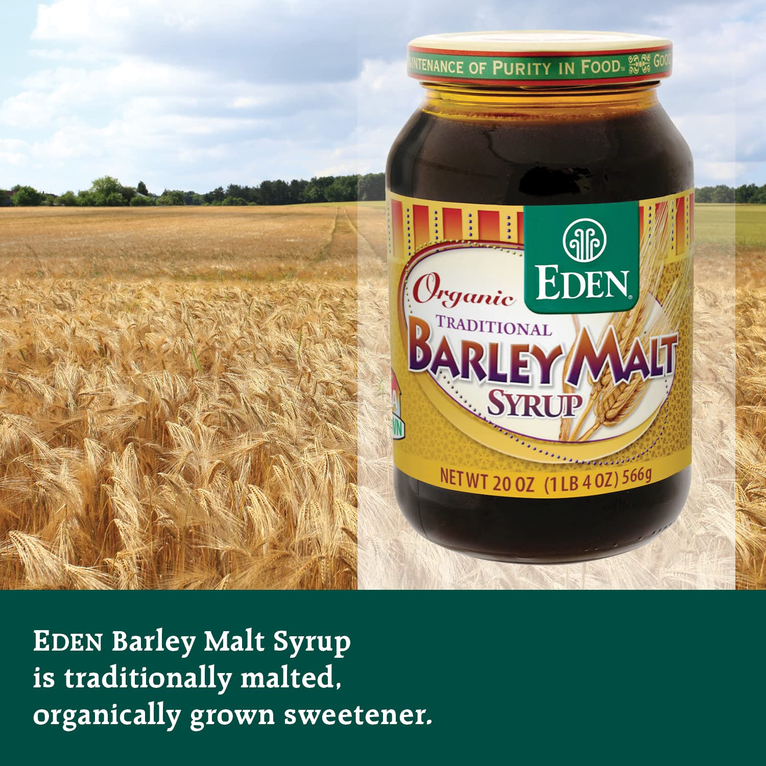 Eden Organic Traditional Barley Malt Syrup, Whole Grain Liquid Sweetener, 74.5% Maltose, Non-Diastatic, Perfect for Bagels, Non-GMO, 20 oz Glass Jar
