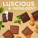 GHIRARDELLI Premium Assorted Chocolate SQUARES, 12.5 oz Bag, Chocolate Candy Variety Pack with Individually Wrapped Candy