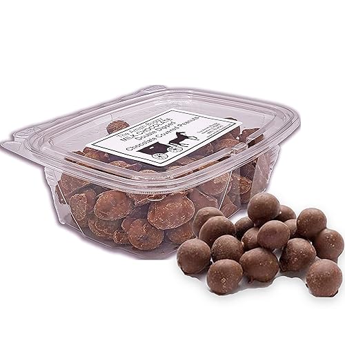 Premium Chocolate Candy (Double Dipped Peanuts 12 oz. Tub (2 Count))