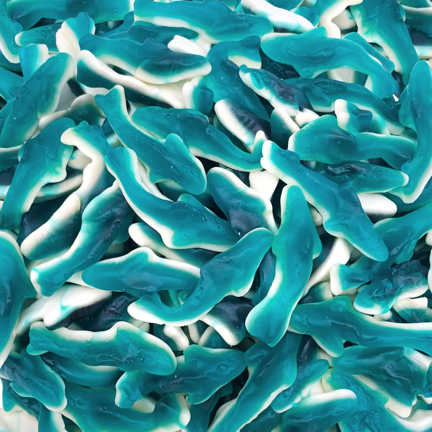 Blue Sharks Gummy Candy | 2 Pound Pack | Blue Raspberry and Marshmallow Flavor