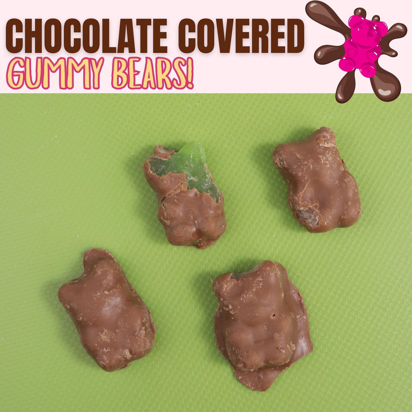 Muddy Bears Chocolate Covered Gummies, Assorted Fruit Flavors, Mini Individual Bags, Party Favor Candy, 20 Count