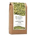 White Pine Needle Tea, Wild-Harvested in Wisconsin | 6.0 oz | 85 Servings | Loose Leaf | Herbal Tea & Medicinal Herbs | Regenerative Farming | Single