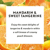 Air Wick Essential Mist, Essential Oil Diffuser (Diffuser + 1 Refill), Mandarin & Sweet Tangerine, Air Freshener