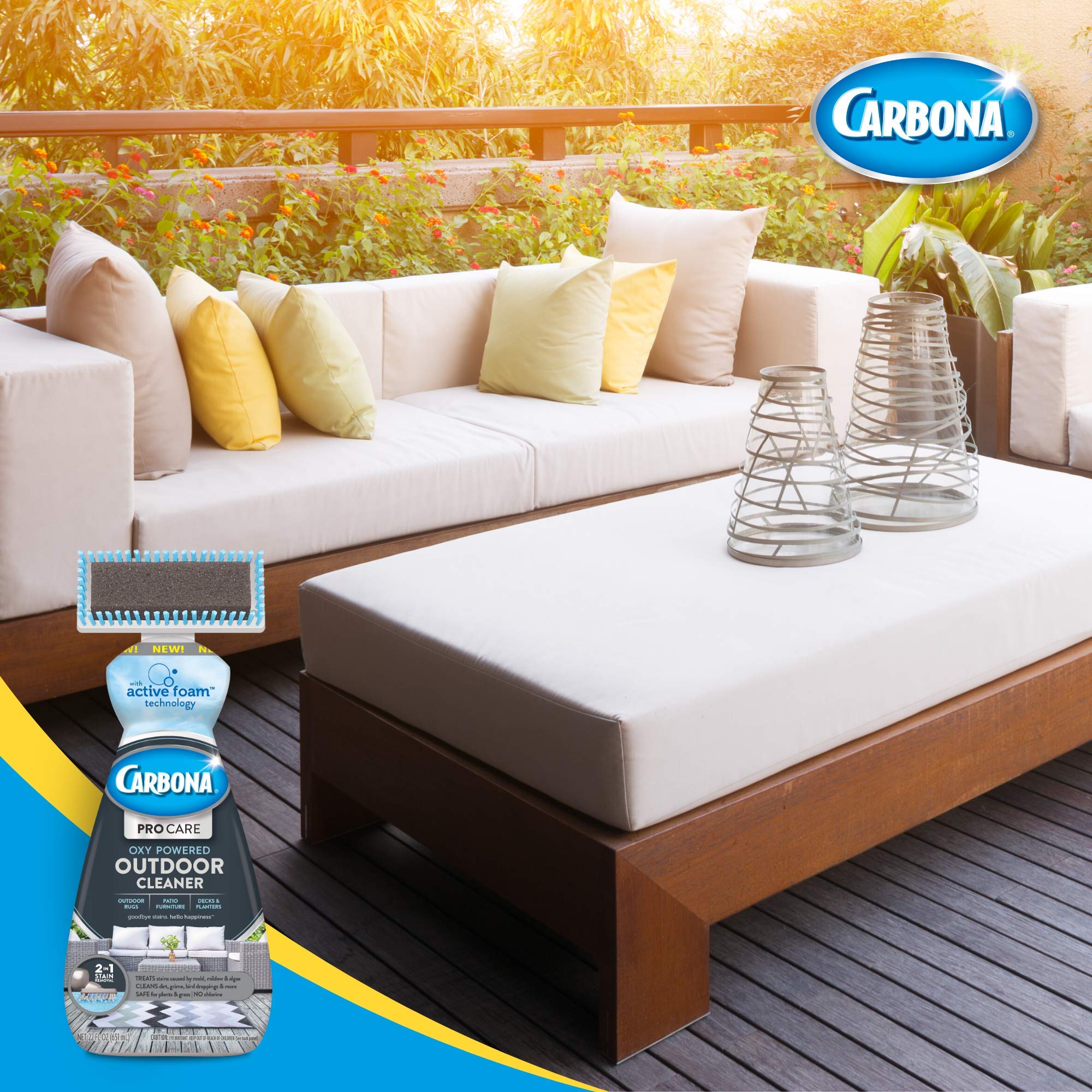 Carbona Pro Care Oxy Powered Outdoor Cleaner with Active Foam Technology | 22 Fl Oz, 2 Pack