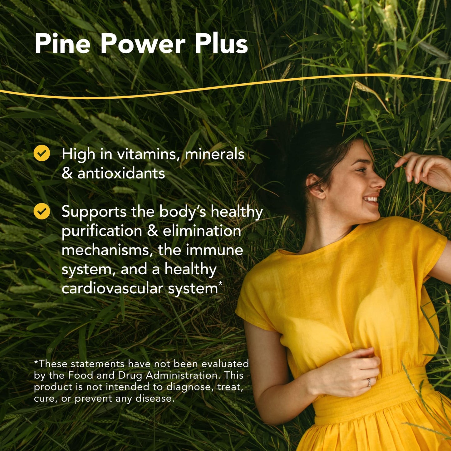 NORTH AMERICAN HERB & SPICE Pine Power Plus - 8 fl oz - Immune & Cardiovascular Support - 23 Servings