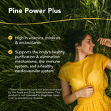 NORTH AMERICAN HERB & SPICE Pine Power Plus - 8 fl oz - Immune & Cardiovascular Support - 23 Servings