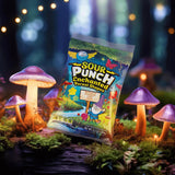 SNACKIFYME Gift Box Enchanted Forest Shapes Sour Candy 4-Pack (26 oz Total) - Assorted Fruit Flavors, Chewy Gummy Treats, Bulk