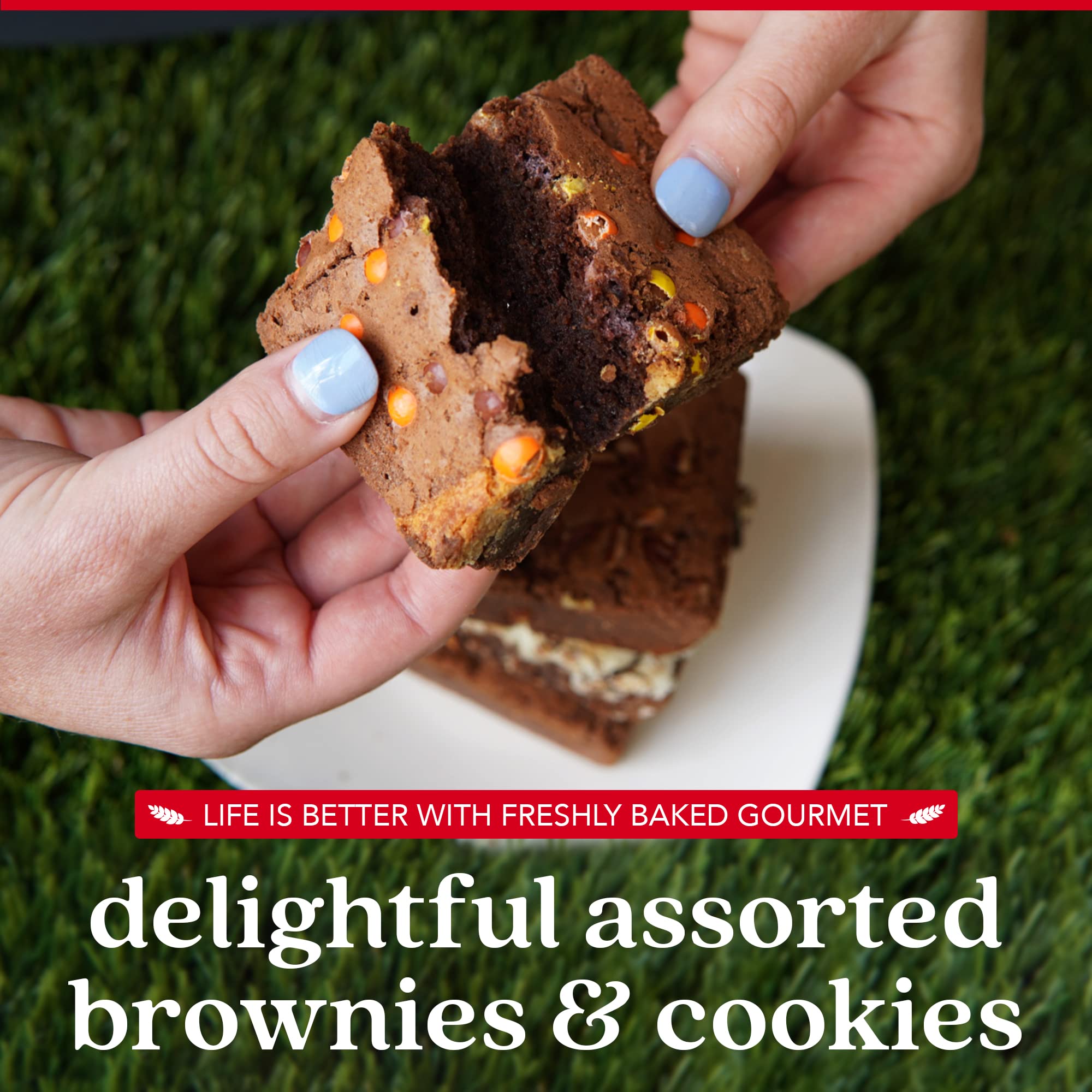 DAVID'S COOKIES Assorted Brownies & Assorted Cookies in Carton Box | Freshly Baked Brownies And Cookies | Ideal Gift For Your Loved Ones This Season