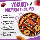 Tidbit Healthy Trail Mix Nuts Mix with Yogurt Cranberries, Yogurt Raisins, Dried Papaya, Pineapple, Banana Chips, Black Raisins & Almond - Tropical
