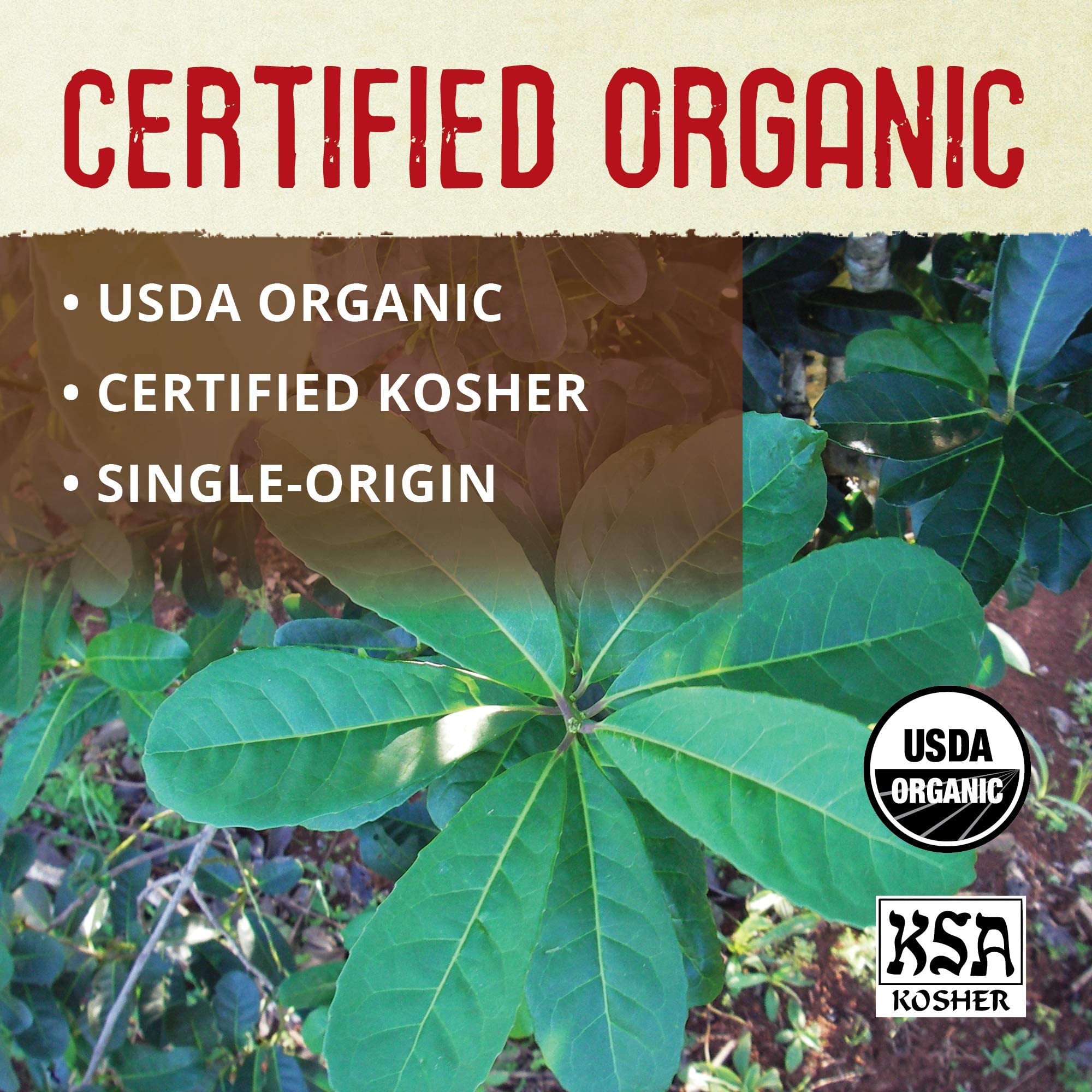 ECOTEAS Organic Yerba Mate Loose Leaf Tea - Natural Energy & Detox Herbal Tea - Caffeine Alternative - Kosher, Non-GMO, Gluten-Free - Unsmoked Pure