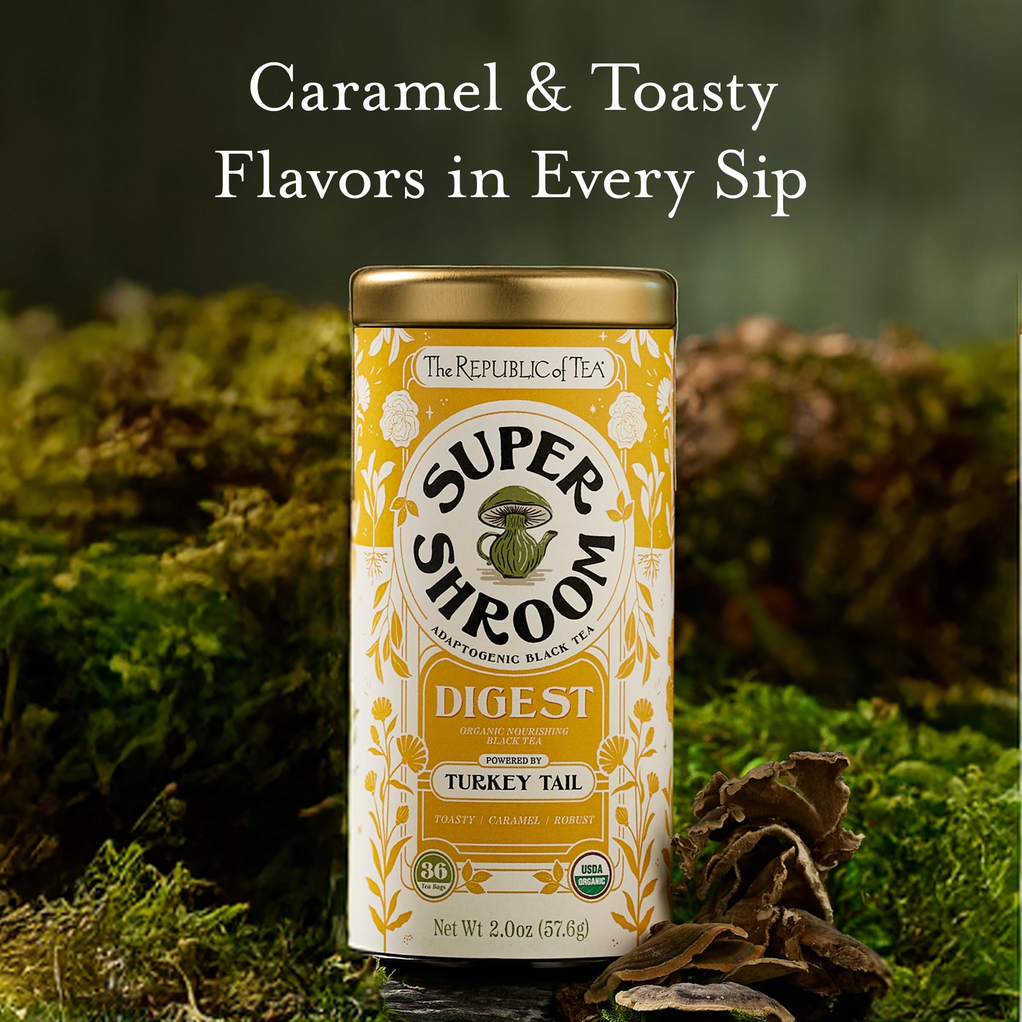 The Republic of Tea SuperShroom Digest Turkey Tail Black Tea, Organic Chicory and Caramel Notes, Naturally Caffeinated, Unbleached Tea Bags in