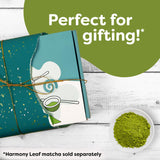 Modern Matcha Complete Kit, 4 Piece Set with Sifter, One Half Teaspoon Scoop, Ceramic Bowl and Electric Milk Frother