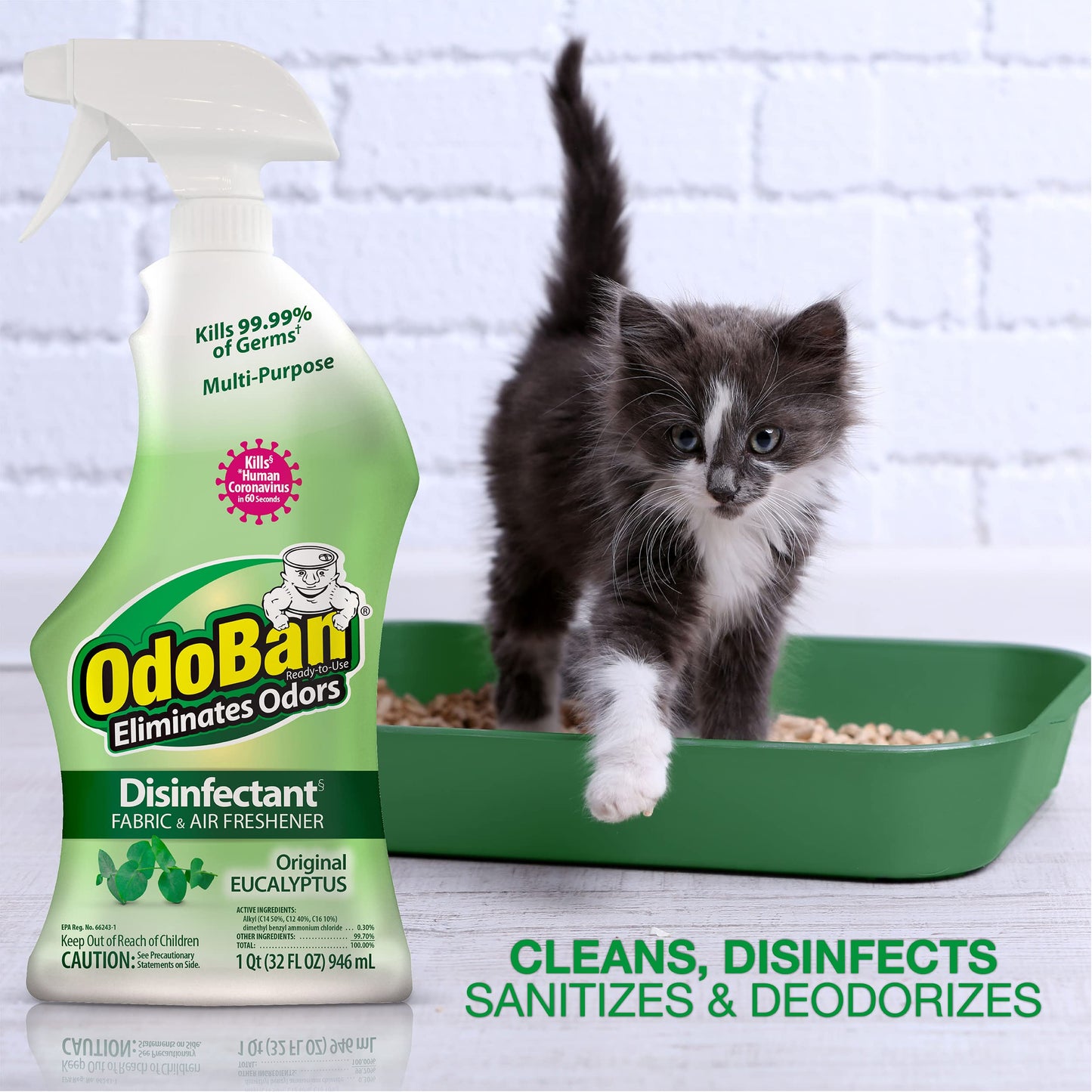 DISINFECTANT ODOBAN 1QT
