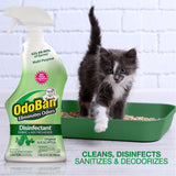 DISINFECTANT ODOBAN 1QT