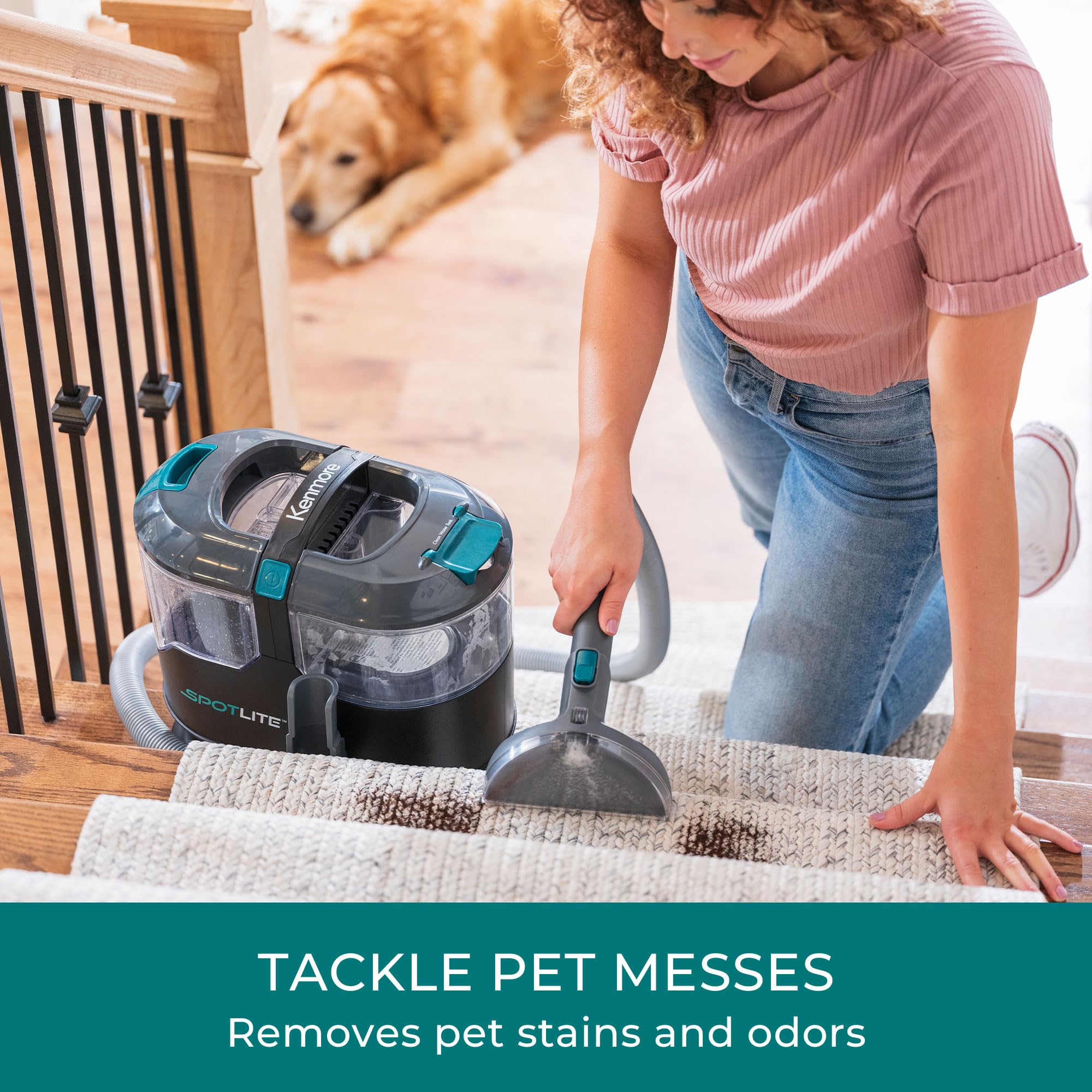 Kenmore KS1010 Deep Clean & Revitalize Pet Carpet Spot Cleaner Formula, 64 Oz for Carpet, Rugs, and Upholstery, Eliminates Pet Stains, Messes