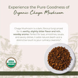 Starwest Botanicals Organic Dried Chaga Mushrooms - Cut and Sifted Chaga for Tea, Soups, Stews, Shakes, & More, Natural Earthy Flavor, Non GMO - Bulk