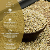 DFOLS Millet Whole Grain Mild Earthy Flavor for Healthy Cooking 0.55lb 8.82oz (250g) Premium Quality ????