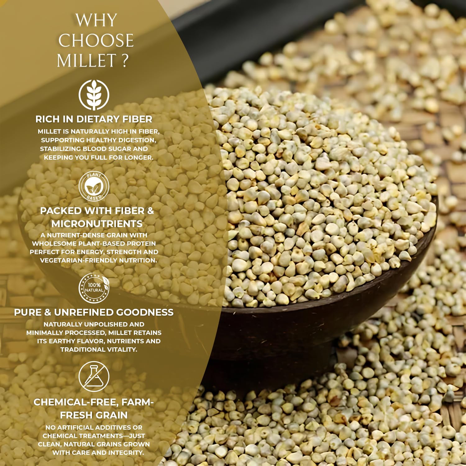 DFOLS Millet Whole Grain Mild Earthy Flavor for Healthy Cooking 0.55lb 8.82oz (250g) Premium Quality ????
