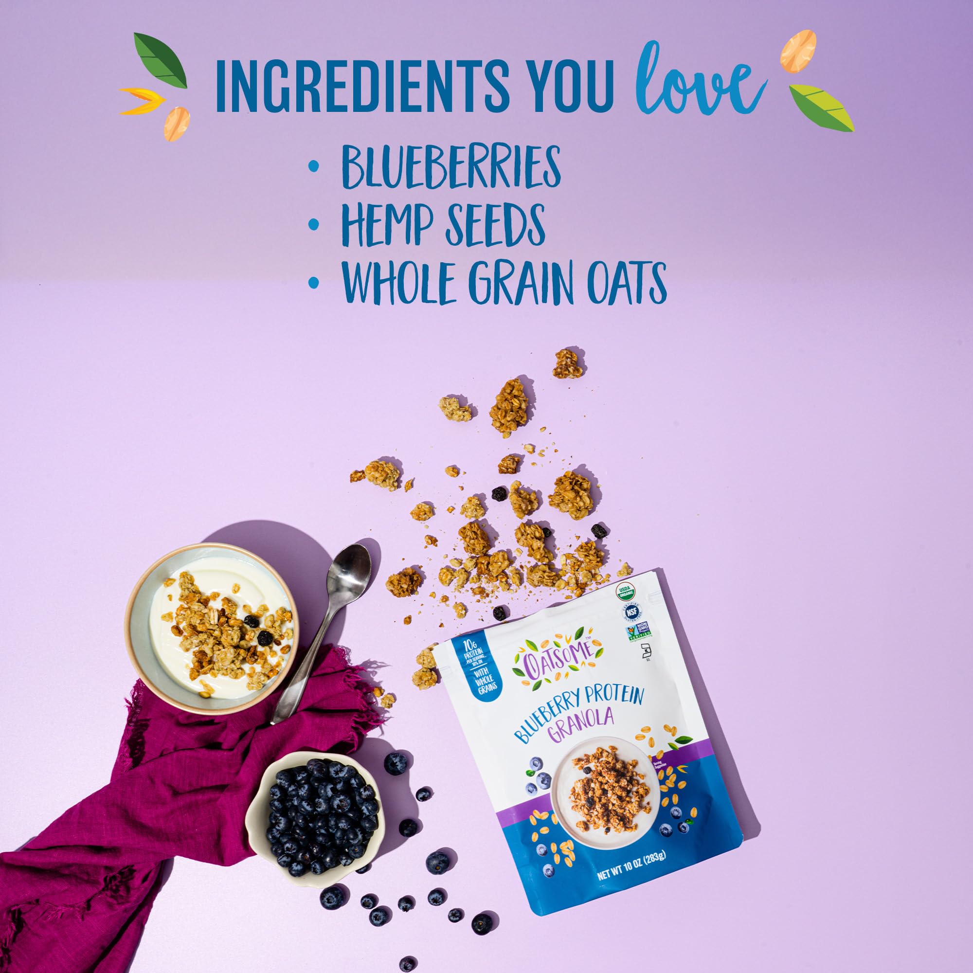 Oatsome Blueberry Protein Granola, 10g Protein, Gluten Free, Made with Whole Grain Organic Oats, Real Blueberries, & Hemp Seeds, for Protein Snacks
