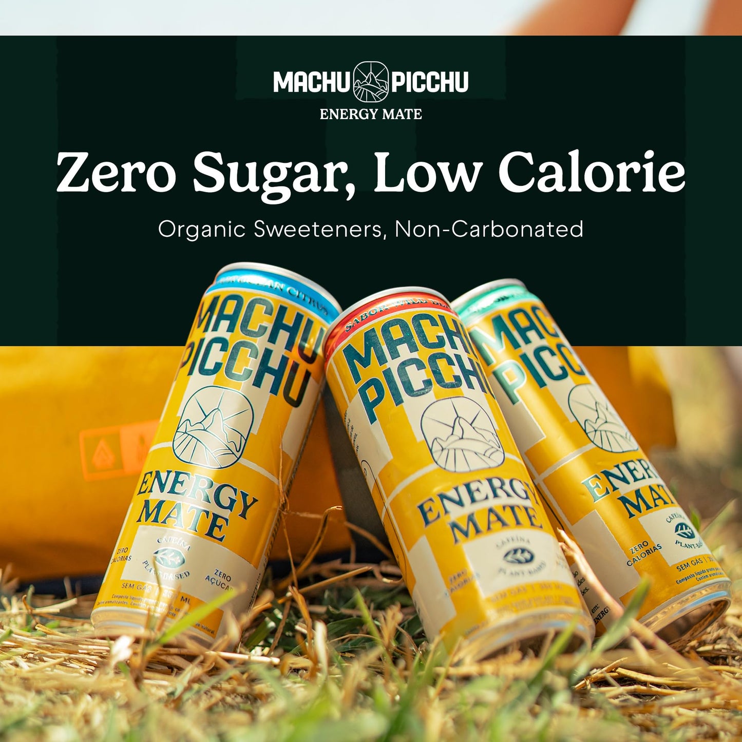 MACHU PICCHU 12-Pack Variety Zero Sugar Energy Mate Drink - Non-Carbonated Yerba Mate, 120mg Organic Caffeine, Smooth Focus Without Jitters or Crash