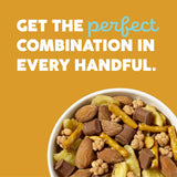 WildRoots Trail Mix, Made with Non-GMO Ingredients & Natural Flavor Salted Caramel Chocolate Banana, 6.5 Ounce (Pack of 1)