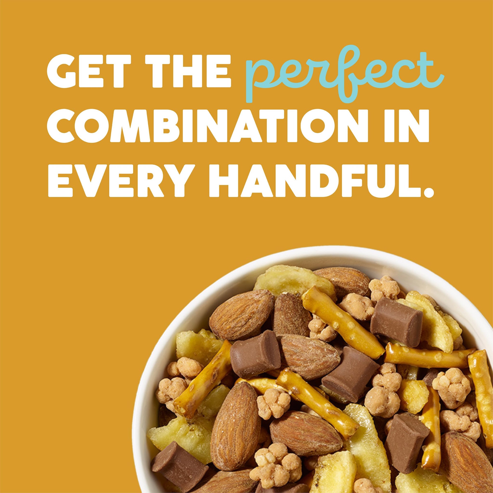 WildRoots Trail Mix, Made with Non-GMO Ingredients & Natural Flavor Salted Caramel Chocolate Banana, 6.5 Ounce (Pack of 1)