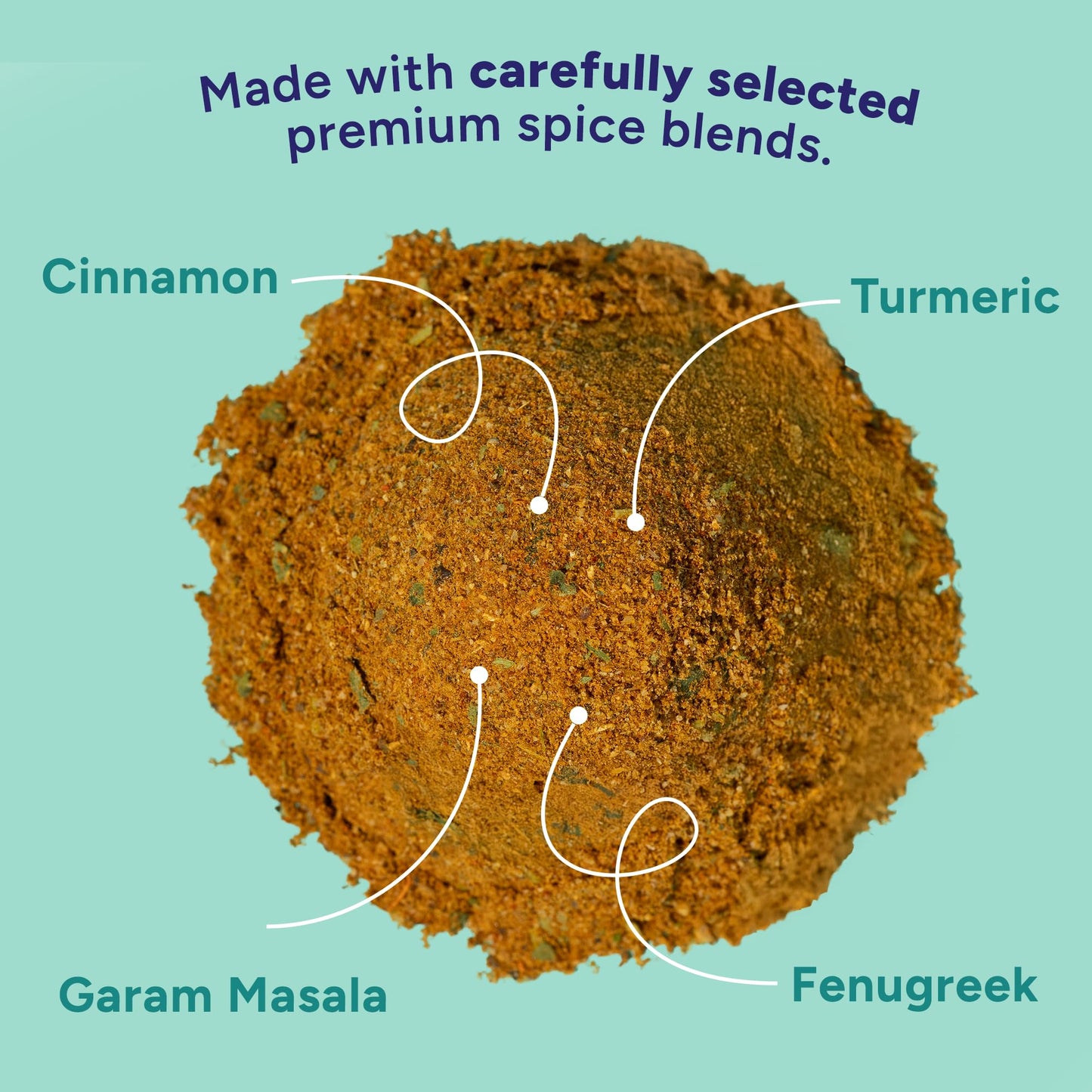 Fadwa Masala Butter Chicken Spice Mix - 4.5 oz Jar, Salt & Sugar Free, Non-Spicy Authentic Desi Spices for Pakistani & Indian Cooking, Curry, Garam