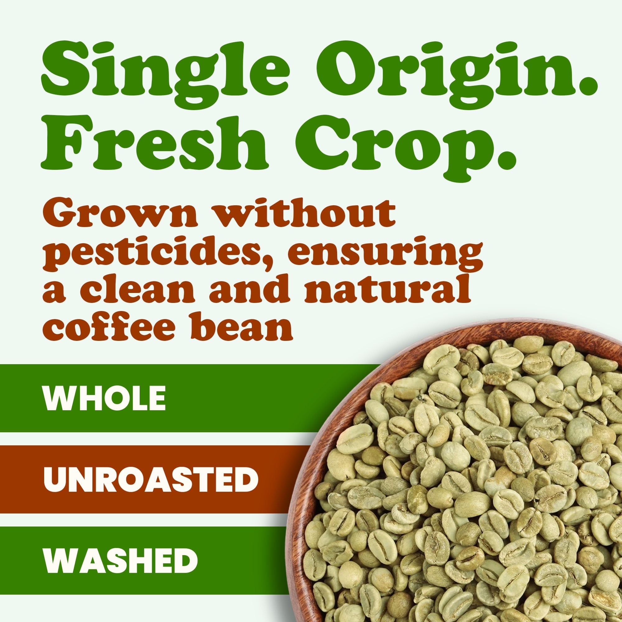 Food to Live Organic Honduran Arabica Green Coffee Beans, 12 Ounces - Whole, Unroasted, Washed Bean. Single Origin. Fresh Crop. Non-GMO, Vegan