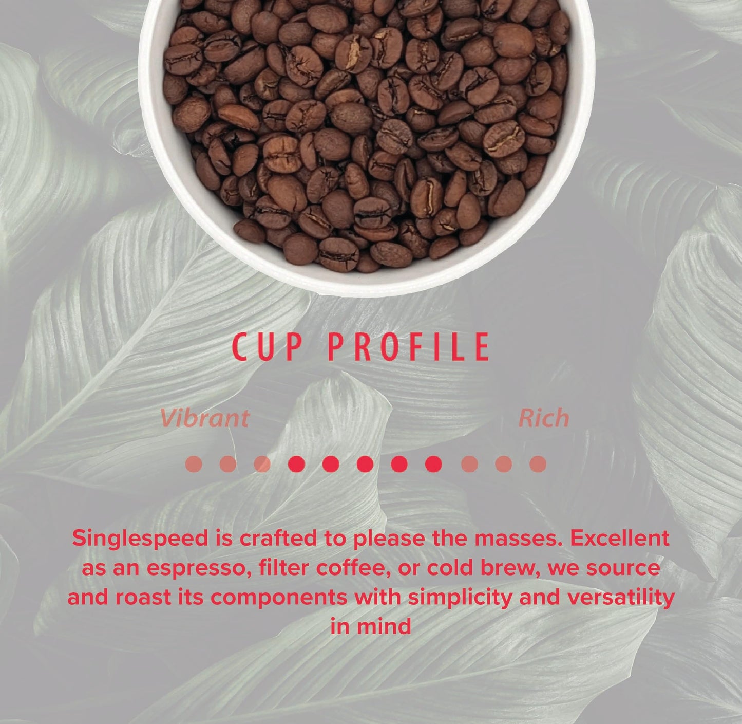 Rothrock Coffee - Singlespeed - Medium Roast - Whole Bean Coffee - For Espresso, Drip Brew, French Press & More - Versatile Roast - Fruity, Chocolatey