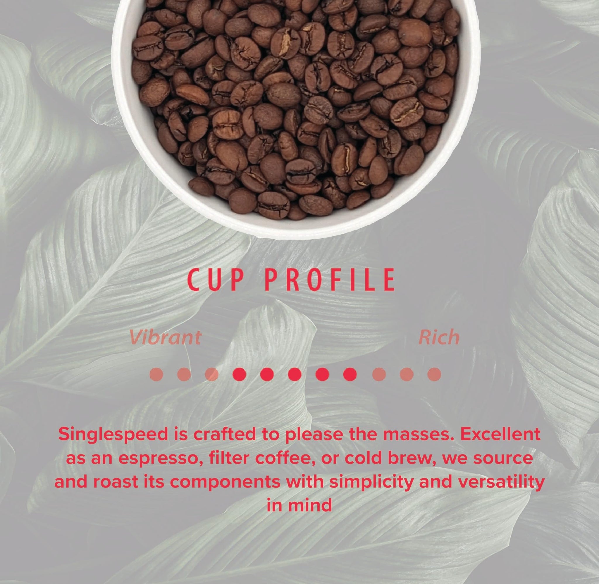 Rothrock Coffee - Singlespeed - Medium Roast - Whole Bean Coffee - For Espresso, Drip Brew, French Press & More - Versatile Roast - Fruity, Chocolatey