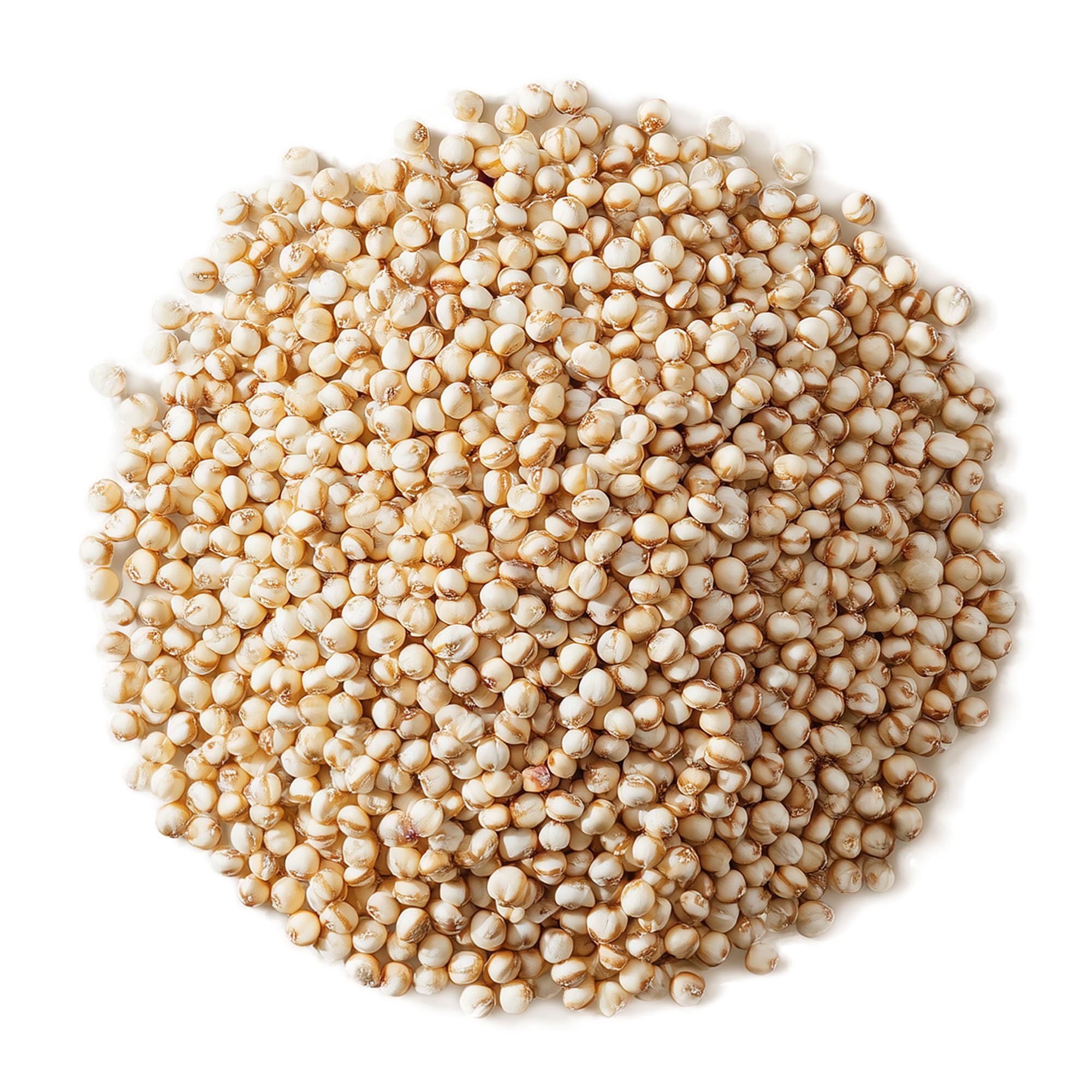Food to Live Organic Great Plains White Sorghum Grain, 6 Pounds - Whole Ancient Groats. High Fiber. No-GMO. Raw Milo Seeds. Vegan, Kosher, Bulk