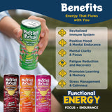 Melting Forest Functional Mushroom Energy Drink - 150mg Caffeine, L-Theanine, Cordyceps & Lion's Mane - Adaptogen Drink for Energy & Focus, Cognitive