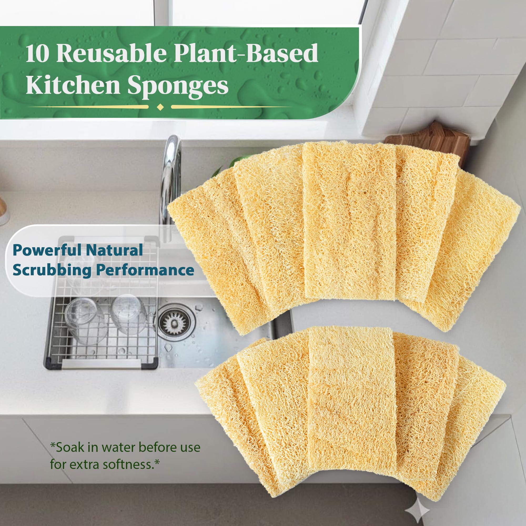 Natural Loofah Kitchen Sponge (XL - 10 Pack) - Natural Sponges for Dishes - Eco Friendly and Compostable Sponges - Biodegradable Plant Based Kitchen