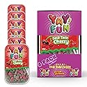 Halal Sour Twin Cherry Gummy Candy | 6 Pack Bundle (6x7 oz Tubs) | Chewy Sugar-Coated Cherry Gummies | Resealable Tubs in Bulk with Display Box |