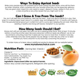 Apricot Seeds California Grown Bitter Raw 100% All Natural From Organic Farms 8 OZ