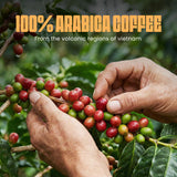 Blu Ore Dark Onyx Vietnamese Arabica Coffee Beans Single Origin Low Acidity Dark Roast with Smooth Body and Fruity Aroma