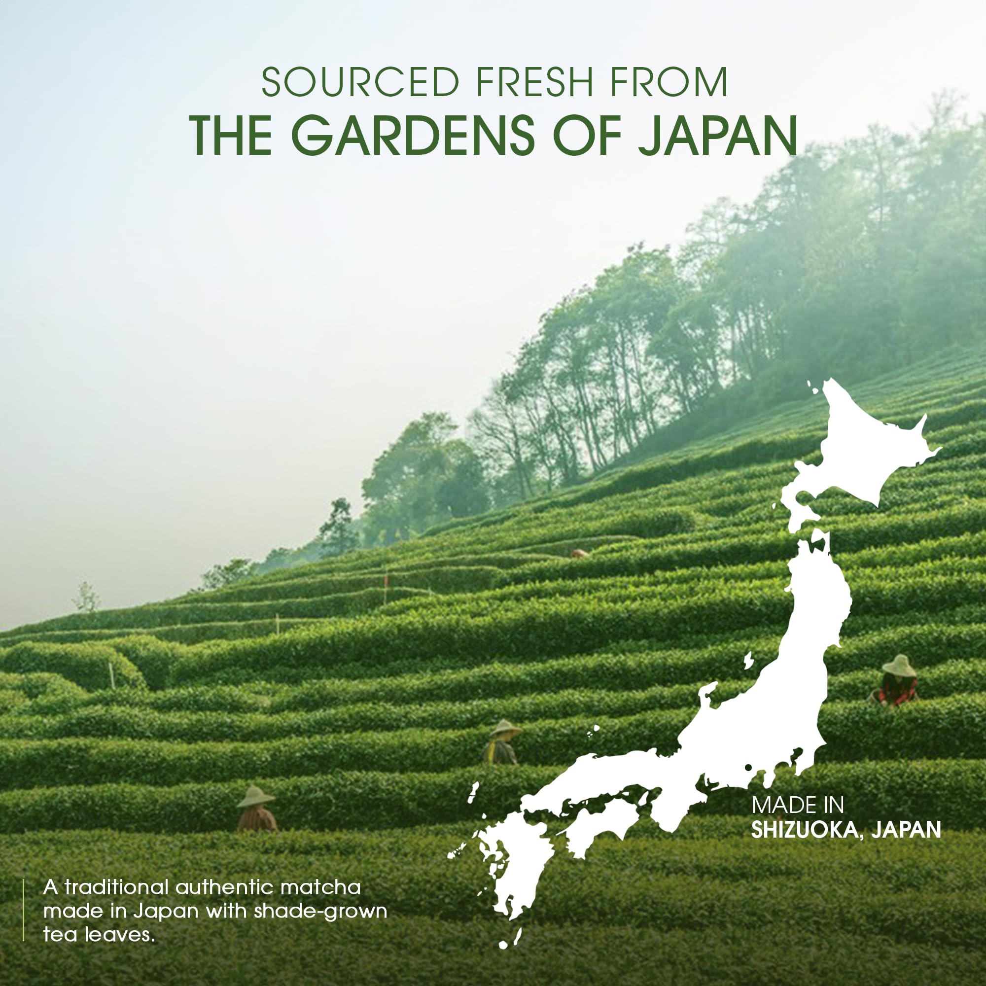 Teabox Matcha Green Tea Powder | 100% Pure & Fresh Authentic Premium Grade Matcha From The wengest Tencha Leaves | Sourced From Shizuoka, Japan | 25