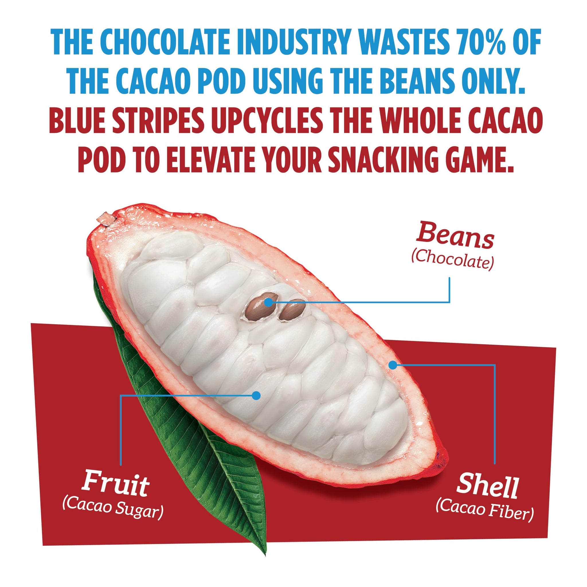 Blue Stripes Whole Cacao Granola - Gluten Free 70% Dark Chocolate Granola for Cereal, Oatmeal, Yogurt, 5g Protein Per Serving, Source of Fiber, Vegan