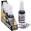 Scent Bomb Air Freshener Spray, Long-Lasting Odor Eliminator - Effective Deodorizer for Home & Car, Fresh Room Spray for Kitchen, Bathroom & Smell